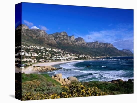 Beach at Camps Bay, Cape Town, South Africa-Ariadne Van Zandbergen-Premier Image Canvas