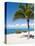 Beach at Chankanaab Park, Isla De Cozumel, Cozumel, Off the Yucatan, Mexico-Michael DeFreitas-Premier Image Canvas