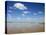 Beach at Cotes D'Argent in Gironde, Aquitaine, France, Europe-David Hughes-Premier Image Canvas