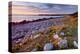 Beach at Green Point in Gros Morne National Park on the West Coast, Newfoundland, Canada-null-Stretched Canvas