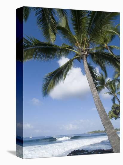 Beach at Kailua-Kona, Island of Hawaii (Big Island), Hawaii, USA-Ethel Davies-Premier Image Canvas