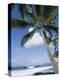 Beach at Kailua-Kona, Island of Hawaii (Big Island), Hawaii, USA-Ethel Davies-Premier Image Canvas