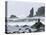 Beach at Lappish, Olympic National Park, Washington, USA-Charles Sleicher-Premier Image Canvas