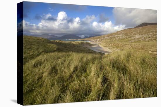 Beach at Luskentyre with Dune Grasses Blowing-Lee Frost-Premier Image Canvas