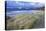 Beach at Luskentyre with Dune Grasses Blowing-Lee Frost-Premier Image Canvas