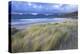 Beach at Luskentyre with Dune Grasses Blowing-Lee Frost-Premier Image Canvas