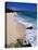 Beach at Sam Lords Castle, East Coast-Angelo Cavalli-Premier Image Canvas