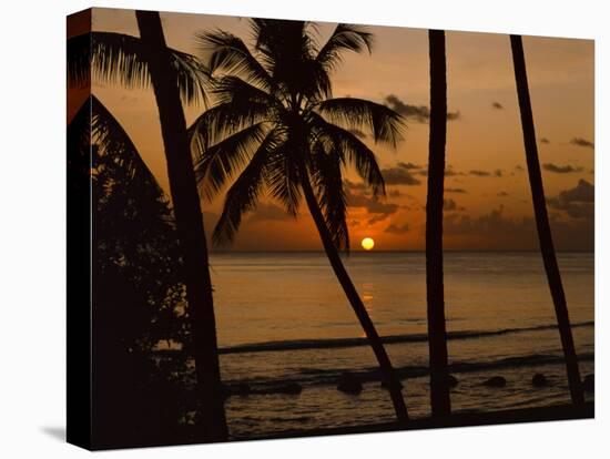 Beach at Sunset, Barbados, West Indies, Caribbean, Central America-Harding Robert-Premier Image Canvas