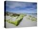 Beach at the Coast, Kangaroo Island, South Australia, Australia-Thorsten Milse-Premier Image Canvas