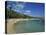 Beach at the Kyona Beach Club, Near Port Au Prince, Haiti, West Indies, Caribbean-Murray Louise-Premier Image Canvas