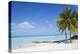 Beach at Treasure Cay, Great Abaco, Abaco Islands, Bahamas, West Indies, Central America-Jane Sweeney-Premier Image Canvas