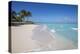 Beach at Treasure Cay, Great Abaco, Abaco Islands, Bahamas, West Indies, Central America-Jane Sweeney-Premier Image Canvas