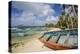 Beach at Trou D'Eau Douce, Flacq, East Coast, Mauritius-Jon Arnold-Premier Image Canvas