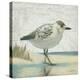 Beach Bird I-James Wiens-Stretched Canvas