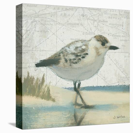 Beach Bird I-James Wiens-Stretched Canvas