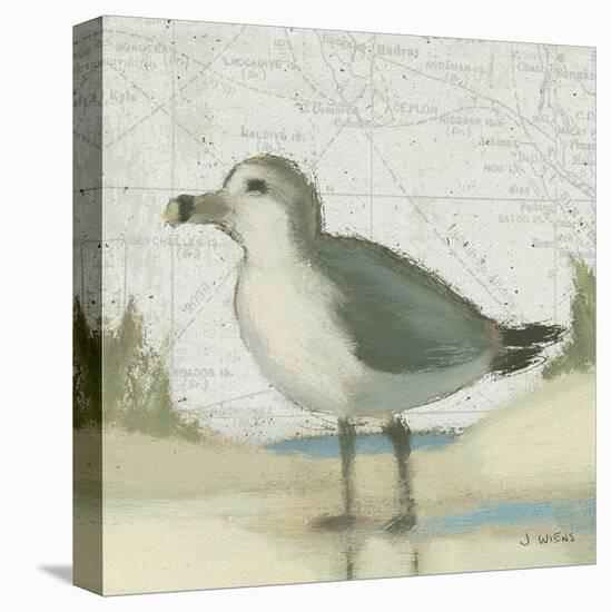 Beach Bird II-James Wiens-Stretched Canvas