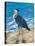 Beach Bird II-Julie DeRice-Stretched Canvas