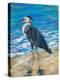 Beach Bird II-Julie DeRice-Stretched Canvas