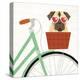 Beach Bums Pug Bicycle I-Michael Mullan-Stretched Canvas