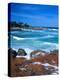 Beach, California, USA-John Alves-Premier Image Canvas