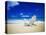 Beach Chair on Empty Beach-Randy Faris-Premier Image Canvas