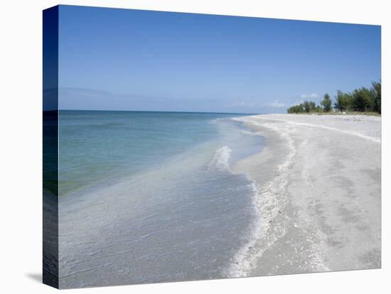 Beach Covered in Shells, Captiva Island, Gulf Coast, Florida, United States of America-Robert Harding-Premier Image Canvas