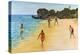 Beach Cricket-Victor Collector-Premier Image Canvas