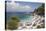 Beach Crowded with Holidaymakers, Kassiopi, Corfu, Ionian Islands, Greek Islands, Greece, Europe-Ruth Tomlinson-Premier Image Canvas