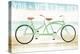 Beach Cruiser Tandem-Michael Mullan-Stretched Canvas