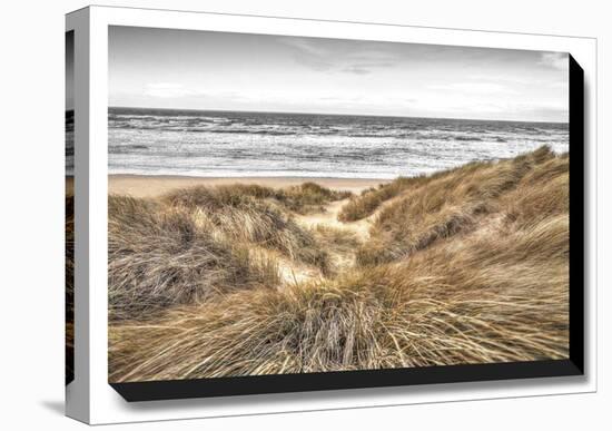 Beach Dunes-Assaf Frank-Stretched Canvas