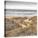 Beach Dunes-Assaf Frank-Stretched Canvas