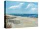 Beach Fences-Ruane Manning-Stretched Canvas