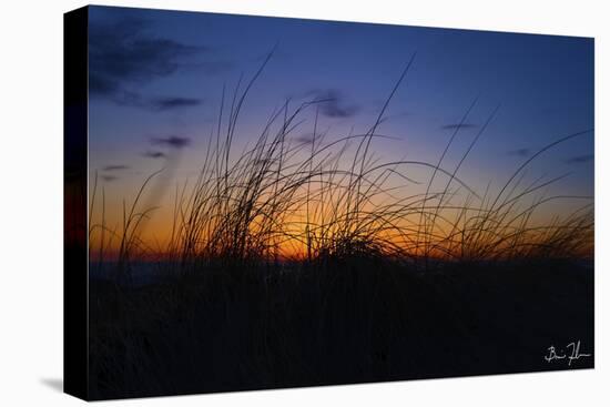 Beach Grass Colors-5fishcreative-Premier Image Canvas