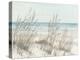 Beach Grass I-Tim OToole-Stretched Canvas