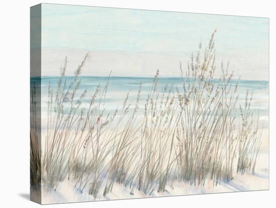 Beach Grass II-Tim OToole-Stretched Canvas