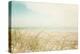 Beach Grass V Light-Elizabeth Urquhart-Premier Image Canvas