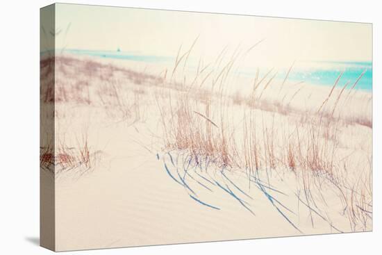 Beach Grasses on the Seashore-soupstock-Premier Image Canvas