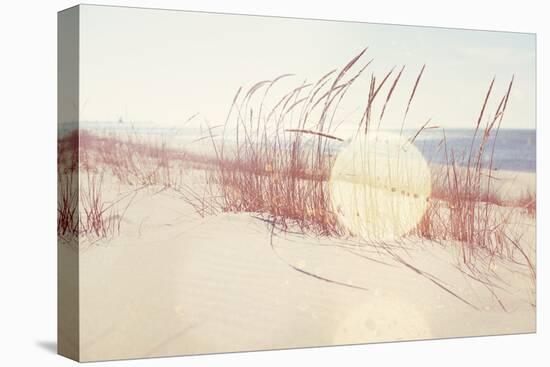 Beach Grasses on the Seashore-soupstock-Premier Image Canvas
