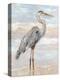 Beach Heron I-Ethan Harper-Stretched Canvas