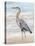 Beach Heron II-Ethan Harper-Stretched Canvas