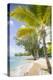 Beach, Holetown, St. James, Barbados, West Indies, Caribbean, Central America-Frank Fell-Premier Image Canvas