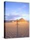 Beach Hut and Ocean, Cabo San Lucas, Mexico-Terry Eggers-Premier Image Canvas