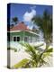 Beach Hut, Bavaro Beach, Punta Cana, Dominican Republic, West Indies, Caribbean, Central America-Frank Fell-Premier Image Canvas