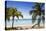 Beach in North of island, Hope Town, Elbow Cay, Abaco Islands, Bahamas, West Indies, Central Americ-Jane Sweeney-Premier Image Canvas