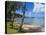 Beach in Noumea, New Caledonia, Melanesia, South Pacific, Pacific-Michael Runkel-Premier Image Canvas