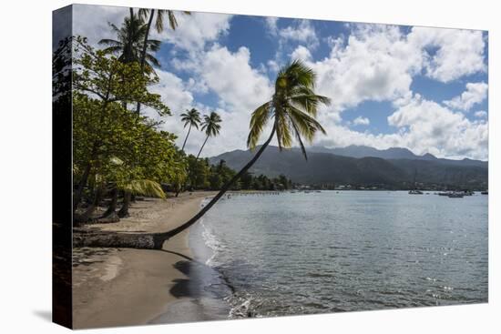 Beach in Prince Rupert Bay, Dominica, West Indies, Caribbean, Central America-Michael Runkel-Premier Image Canvas