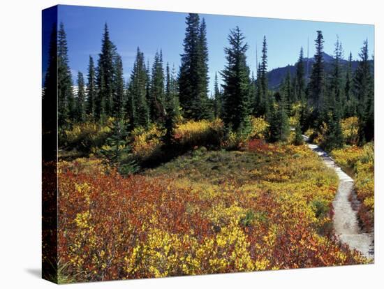 Beach Lake Trail with Fall Color, Mt. Rainier National Park, Washington, USA-Jamie & Judy Wild-Premier Image Canvas