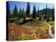 Beach Lake Trail with Fall Color, Mt. Rainier National Park, Washington, USA-Jamie & Judy Wild-Premier Image Canvas