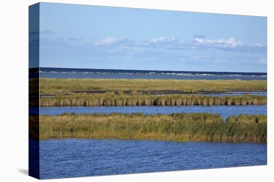 Beach Lakes at Darsser Ort Boat Region on the Darss Peninsula-Uwe Steffens-Premier Image Canvas