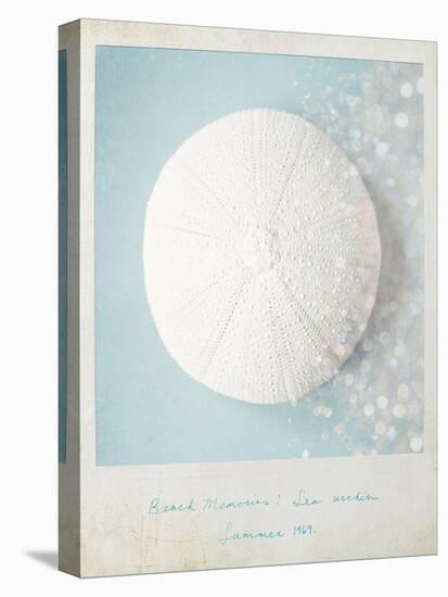 Beach Memories Sea Urchin-Susannah Tucker-Stretched Canvas